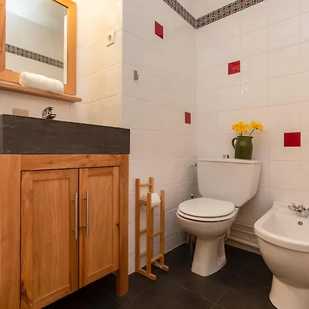 Sud - Jonquilles 118 - Happy *