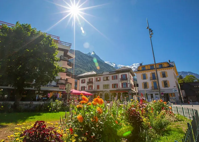 Sud - Jonquilles 118 - Happy Chamonix
