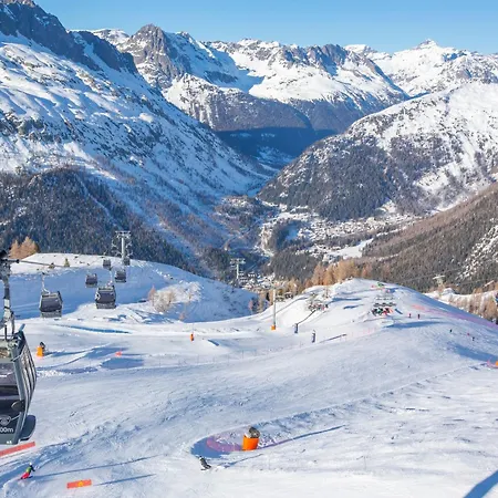 Sud - Jonquilles 118 - Happy * Chamonix