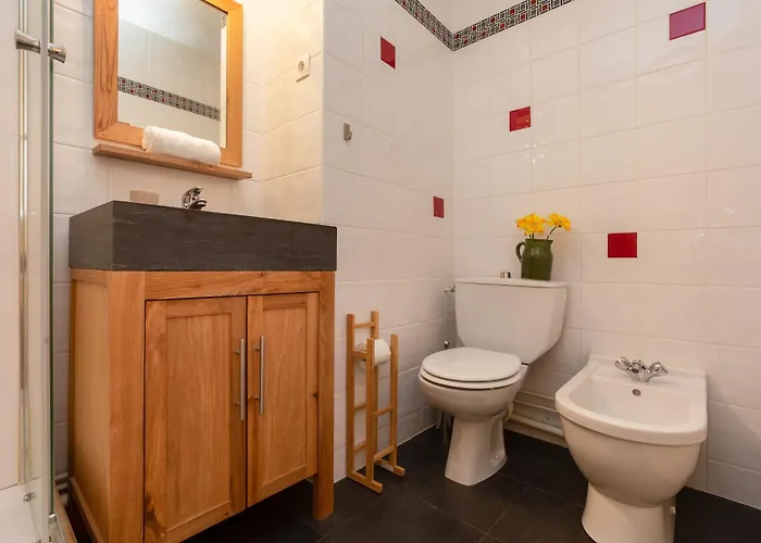 Sud - Jonquilles 118 - Happy *